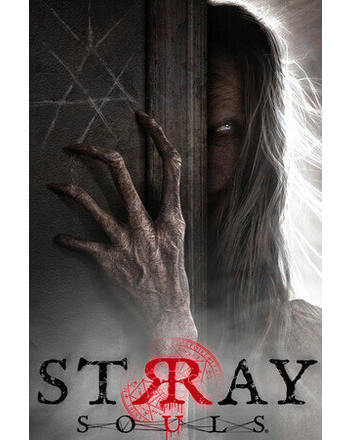 Stray Souls (PC) klucz Steam
