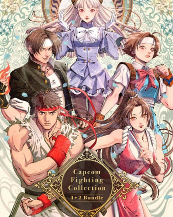 Capcom Fighting Collection 1&2 Bundle (PC) klucz Steam